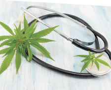 Photo of marijuana leaves with a stethoscope