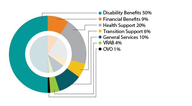 Pie Chart: By Issue Type