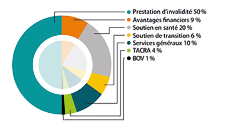 Diagramme circulaire : Par type d’enjeu