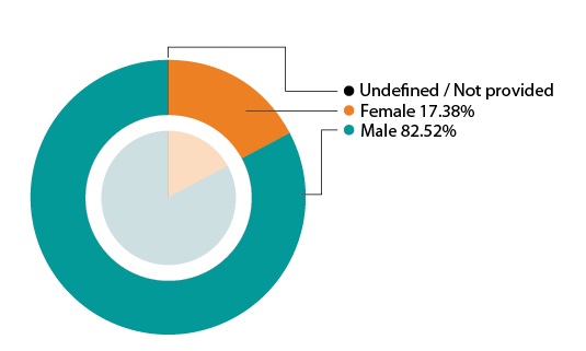 Pie Chart: By Gender