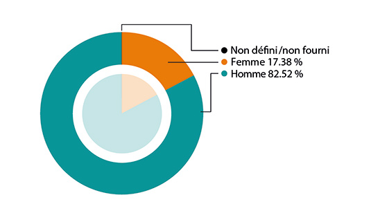 Diagramme circulaire : Par sexe